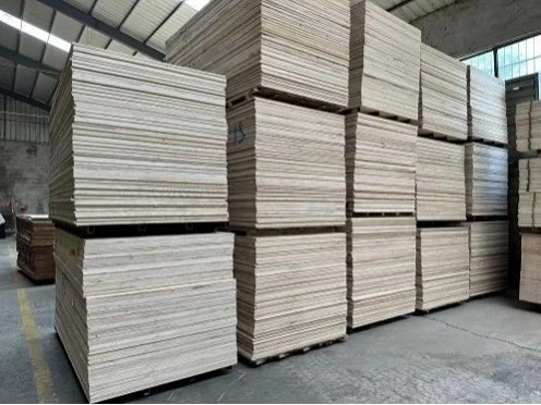product-496-372 product-496-372